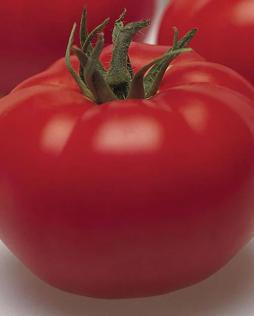 Beefsteak Tomato