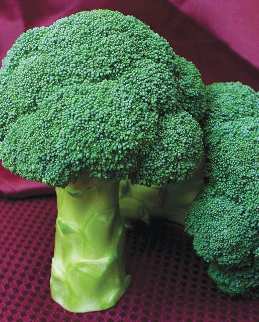 Broccoli