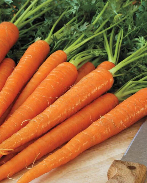 Carrots