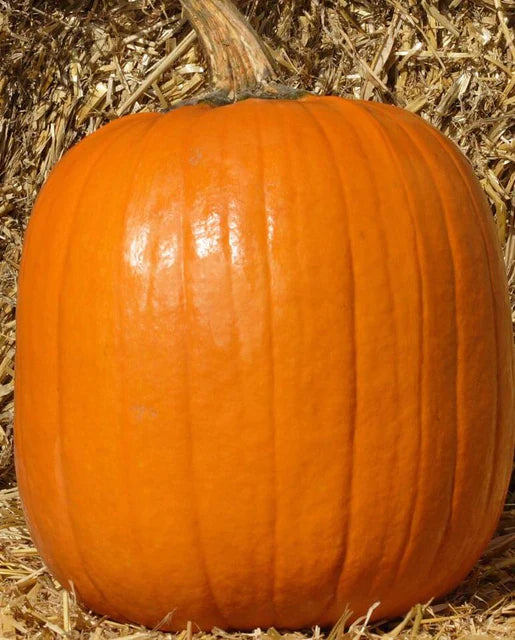 Carving Pumpkin