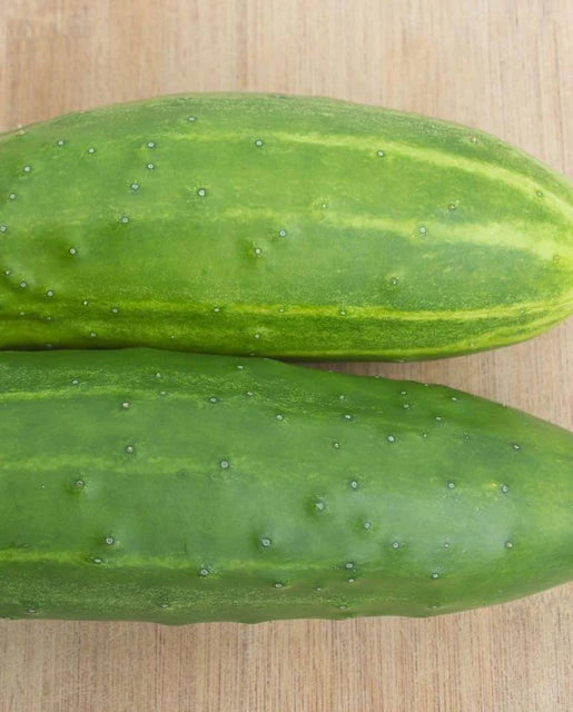 Cucumber