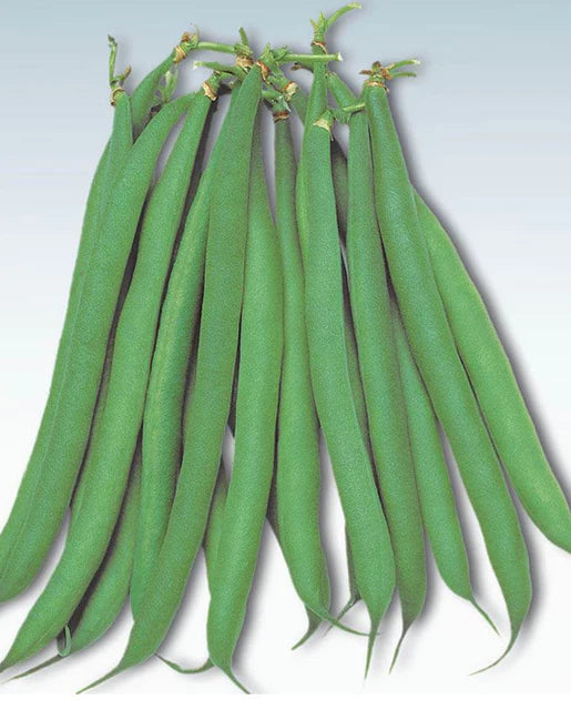 Green Beans