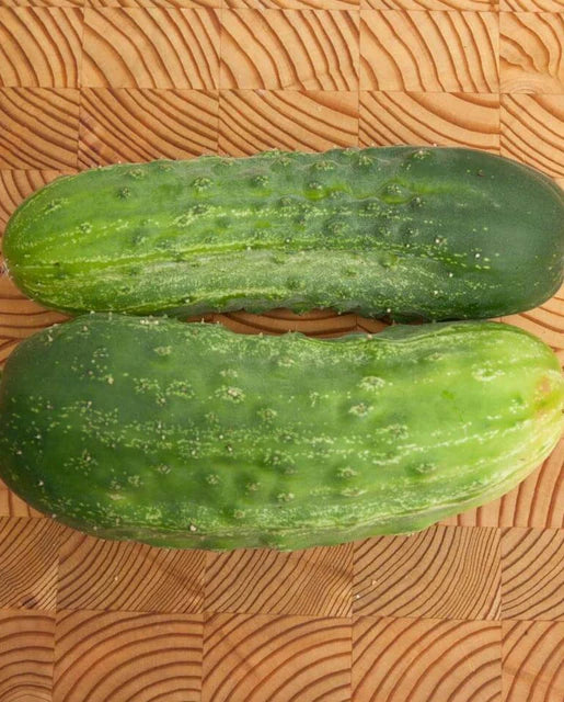 Pickling Cucumber