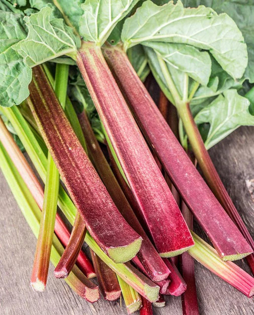 Rhubarb