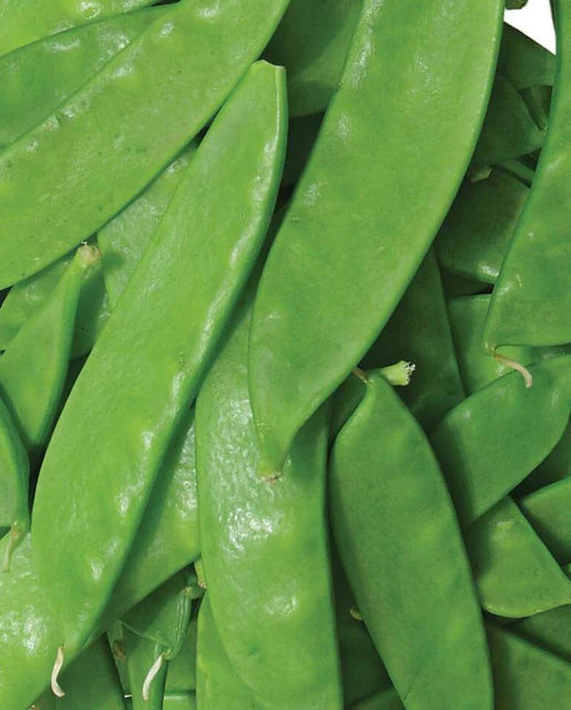 Snow Peas